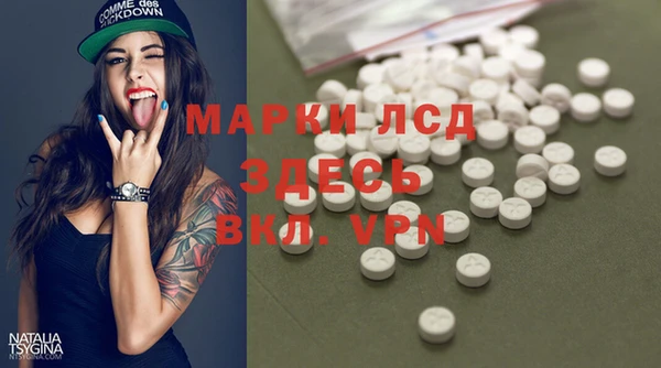 стафф Михайловск