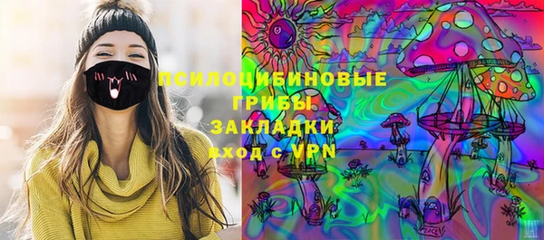 стафф Михайловск