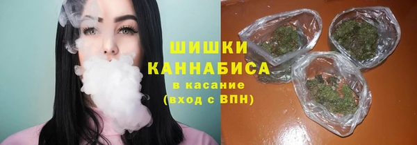 spice Михайлов