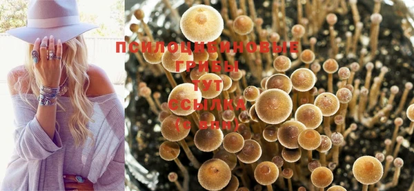 spice Михайлов