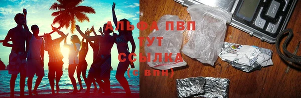 стафф Михайловск