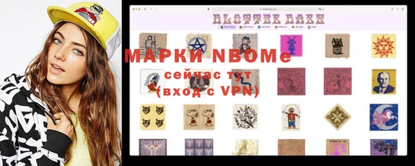 стафф Михайловск