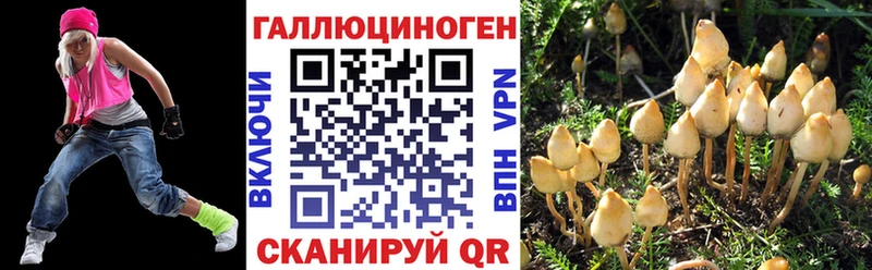 Псилоцибиновые грибы Psilocybine cubensis  Купить где  Княгинино 